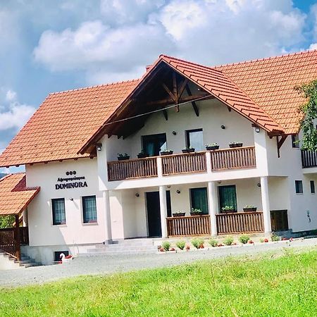Agropensiunea Duminora Lăschia エクステリア 写真