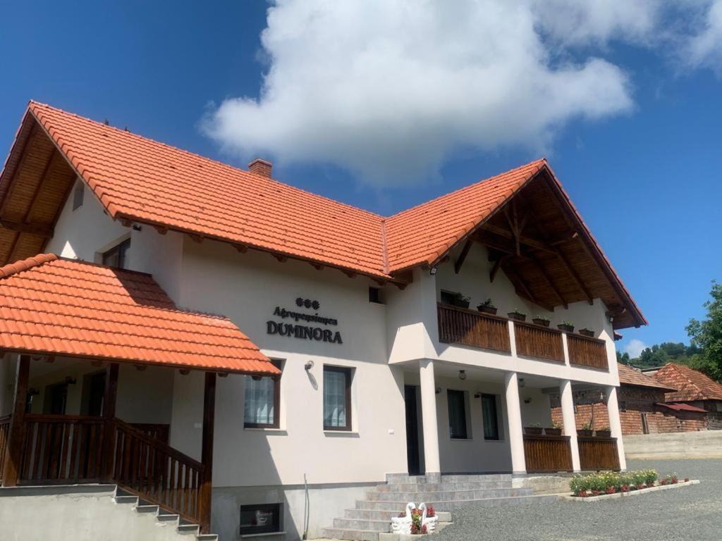 Agropensiunea Duminora Lăschia エクステリア 写真